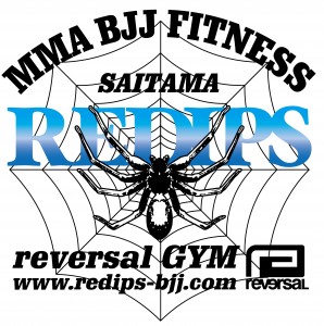 redips-e382b3e38394e383bc-16